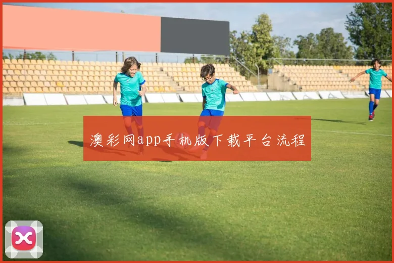 澳彩网app手机版下载平台流程