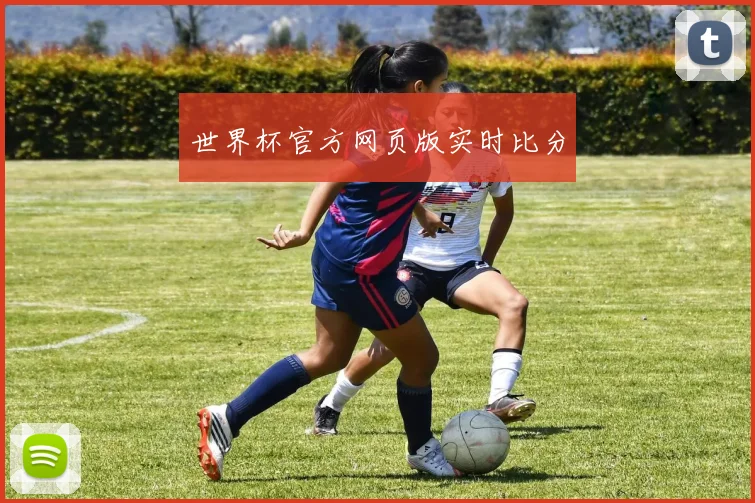 世界杯官方网页版实时比分