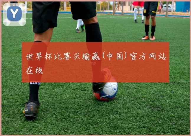 世界杯比赛买输赢(中国)官方网站在线