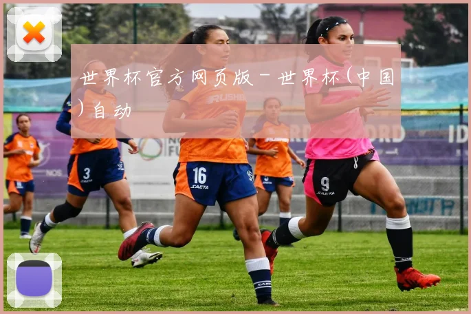 世界杯官方网页版 - 世界杯(中国)自动