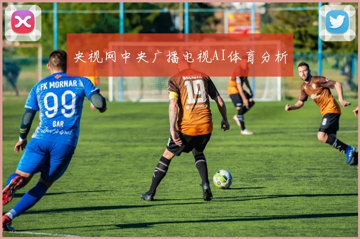 央视网中央广播电视AI体育分析