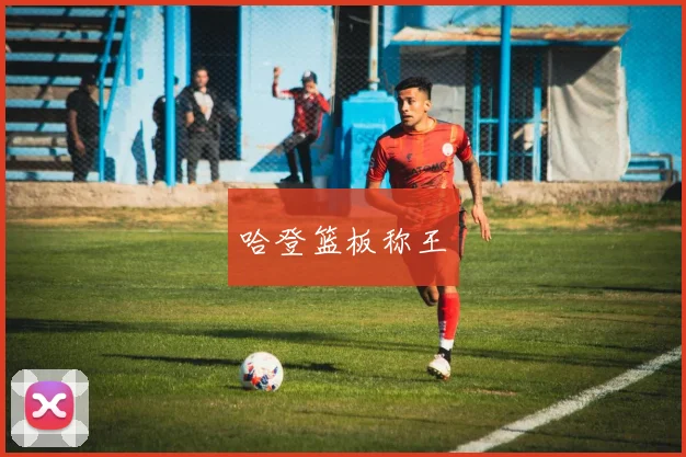 哈登篮板称王