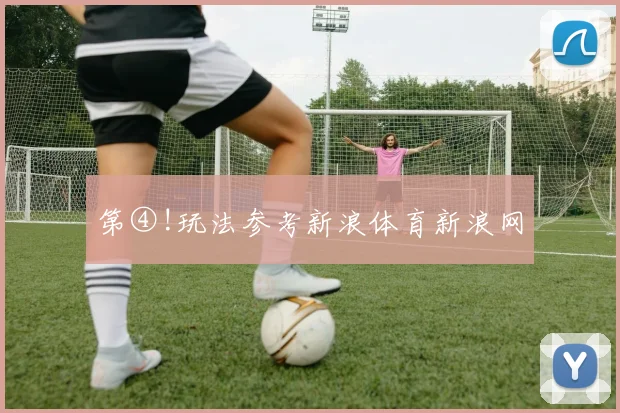 第④!玩法参考新浪体育新浪网