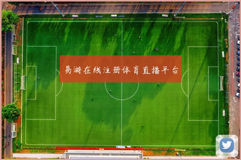 易游在线注册体育直播平台