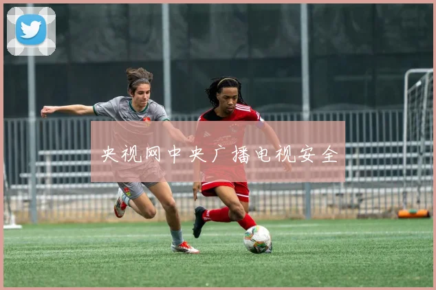 央视网中央广播电视安全
