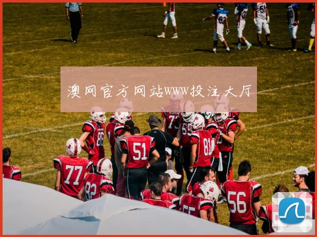 澳网官方网站www投注大厅