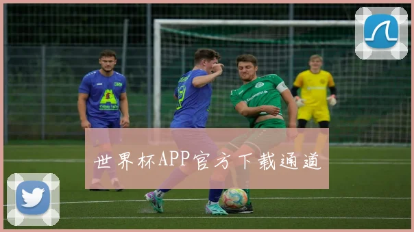 世界杯APP官方下载通道