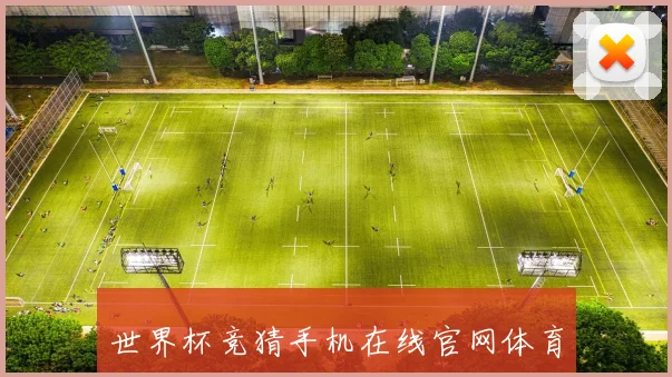世界杯竞猜手机在线官网体育