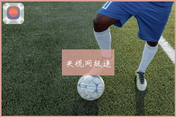 央视网极速