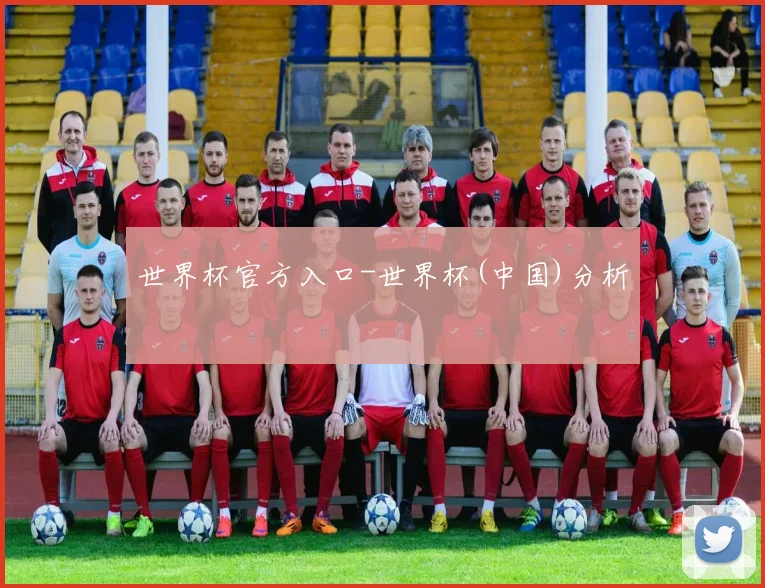 世界杯官方入口-世界杯(中国)分析