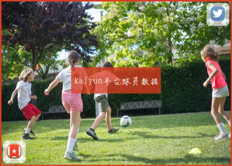 kaiyun平台球员数据