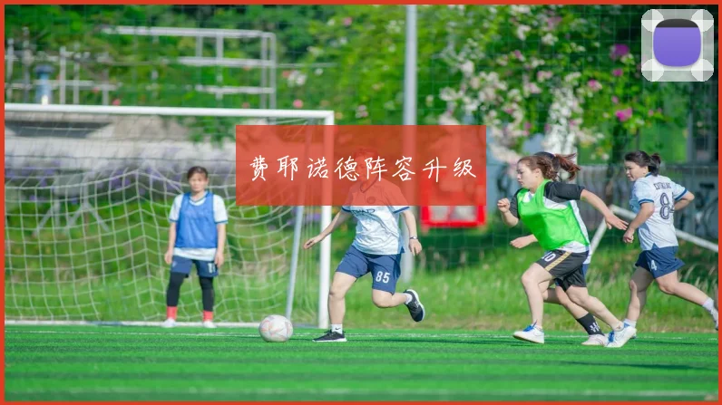 费耶诺德阵容升级