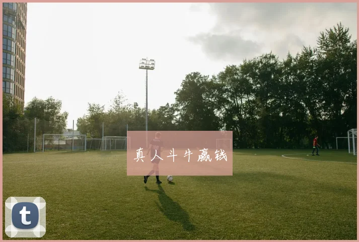 真人斗牛赢钱
