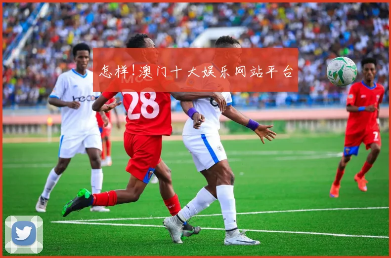 怎样!澳门十大娱乐网站平台