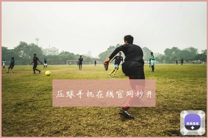 压球手机在线官网秒开