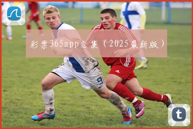 彩票365app合集（2025最新版）