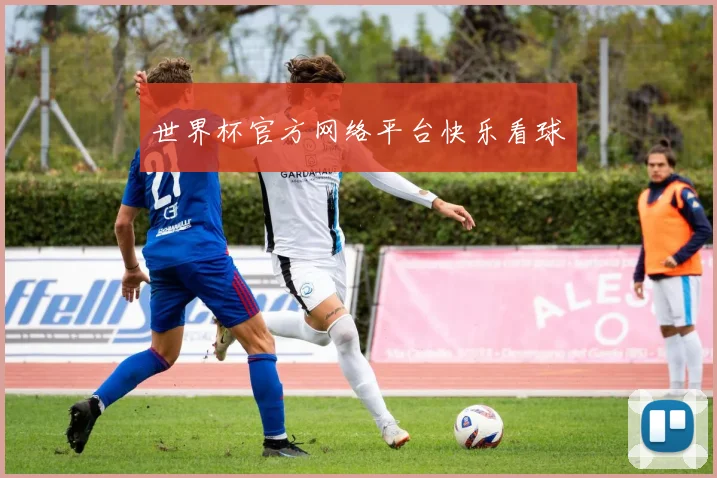 世界杯官方网络平台快乐看球