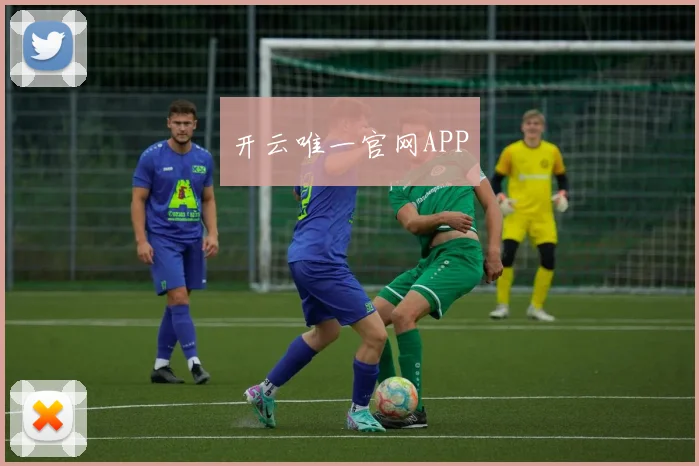 开云唯一官网APP