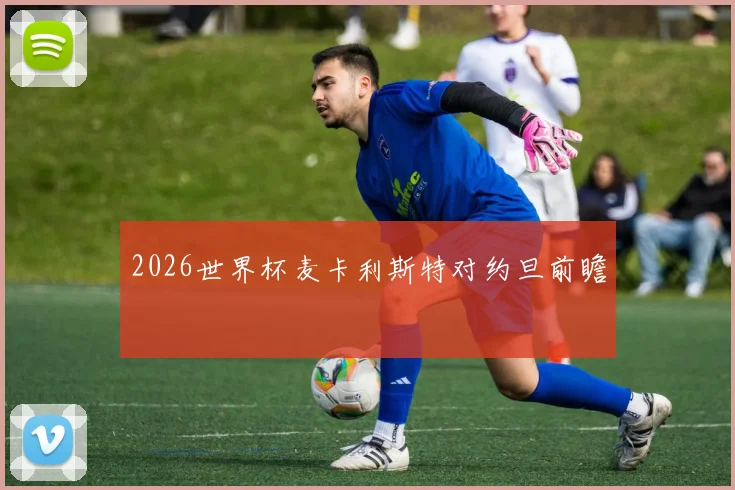 2026世界杯麦卡利斯特对约旦前瞻