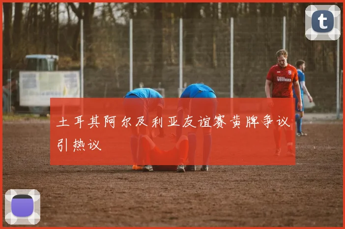 土耳其阿尔及利亚友谊赛黄牌争议引热议