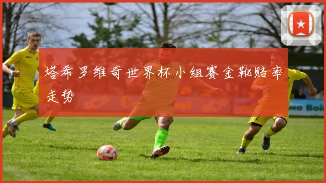 塔希罗维奇世界杯小组赛金靴赔率走势