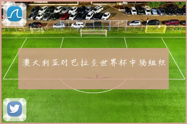 澳大利亚对巴拉圭世界杯中场组织