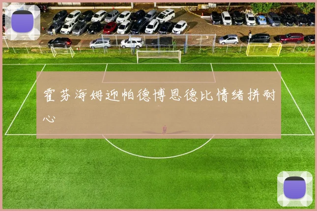 霍芬海姆迎帕德博恩德比情绪拼耐心